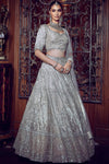 Skirt and Blouse in Tissue, Dupatta in Net