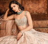 The Moroccon Pink Flamingo Landscape Lehenga