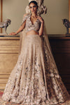 The Amazonica Tissue Lehenga
