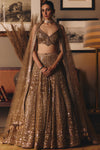 The Sheeshraag Toasted Gold Lehenga