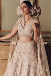 Flamingos of the Wild Lehenga