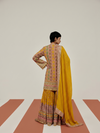 THE STRUCTURED MOSAIC SHARARA SET