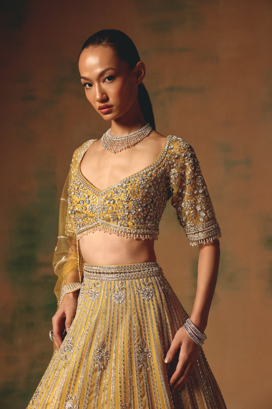 The Glint of Sunshine Lehenga