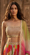 Multi Georgette Embroidered Lehenga Set