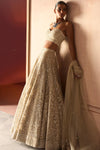 The Modern Royalty Ekru Lehenga