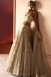 The Modern Royalty Ekru Lehenga