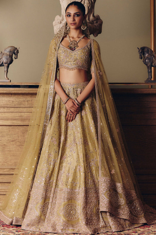The Royal Masai Landscape Aged Pistachio Tissue lehenga