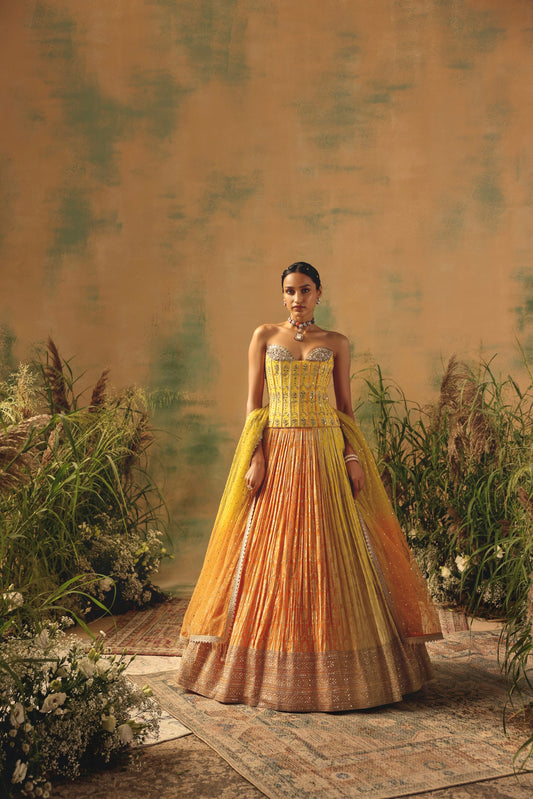 The Wild Mariposa Lehenga