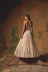 The Morning Dew Corset Lehenga