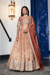Rust Banarasi Weave Embroidered Lehenga Set