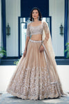 Beige Sequins Net Embroidered Lehenga Set