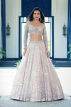 Ivory Embroidered Net Lehenga Set