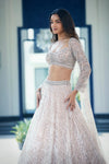 Ivory Embroidered Net Lehenga Set