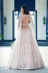 Ivory Embroidered Net Lehenga Set