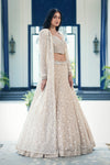 Beige Chantilly Net Embroidered Lehenga Set