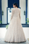 Beige Chantilly Net Embroidered Lehenga Set